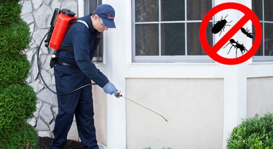 Sultanhisar Akrep İlaçlama böcek ilaçlama ve haşere kontrolü — ilaclama-tr.com